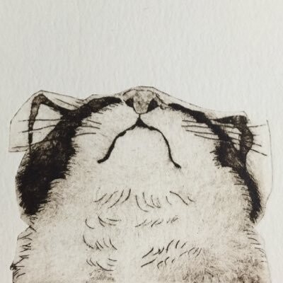 むくどり🍉
