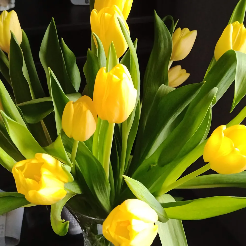 rumpel-stilz.bsky.social