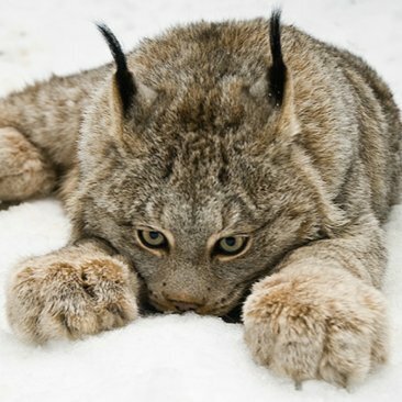 Martin Schr&ouml;der 🇺🇳