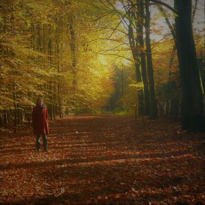 Niederrheinl&auml;nderin