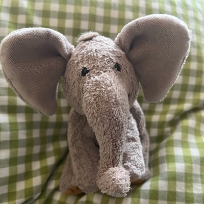 Linus und Co. 🖤🚴🏻&zwj;♂️🖤🐘🖤