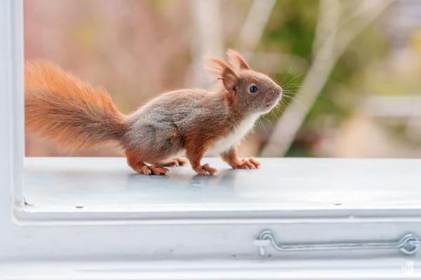 pixelgraphix-manuela-hoffmann-2025-april-07-21