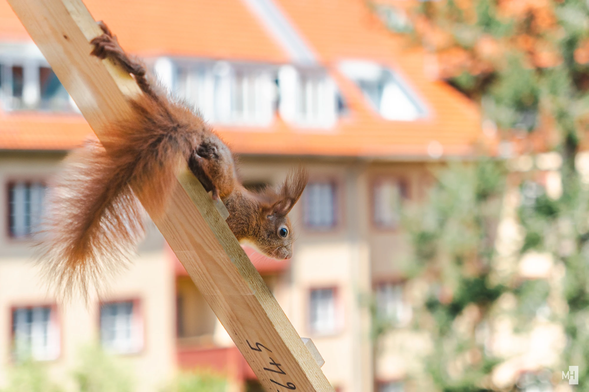 pixelgraphix-manuela-hoffmann-2025-april-25-47