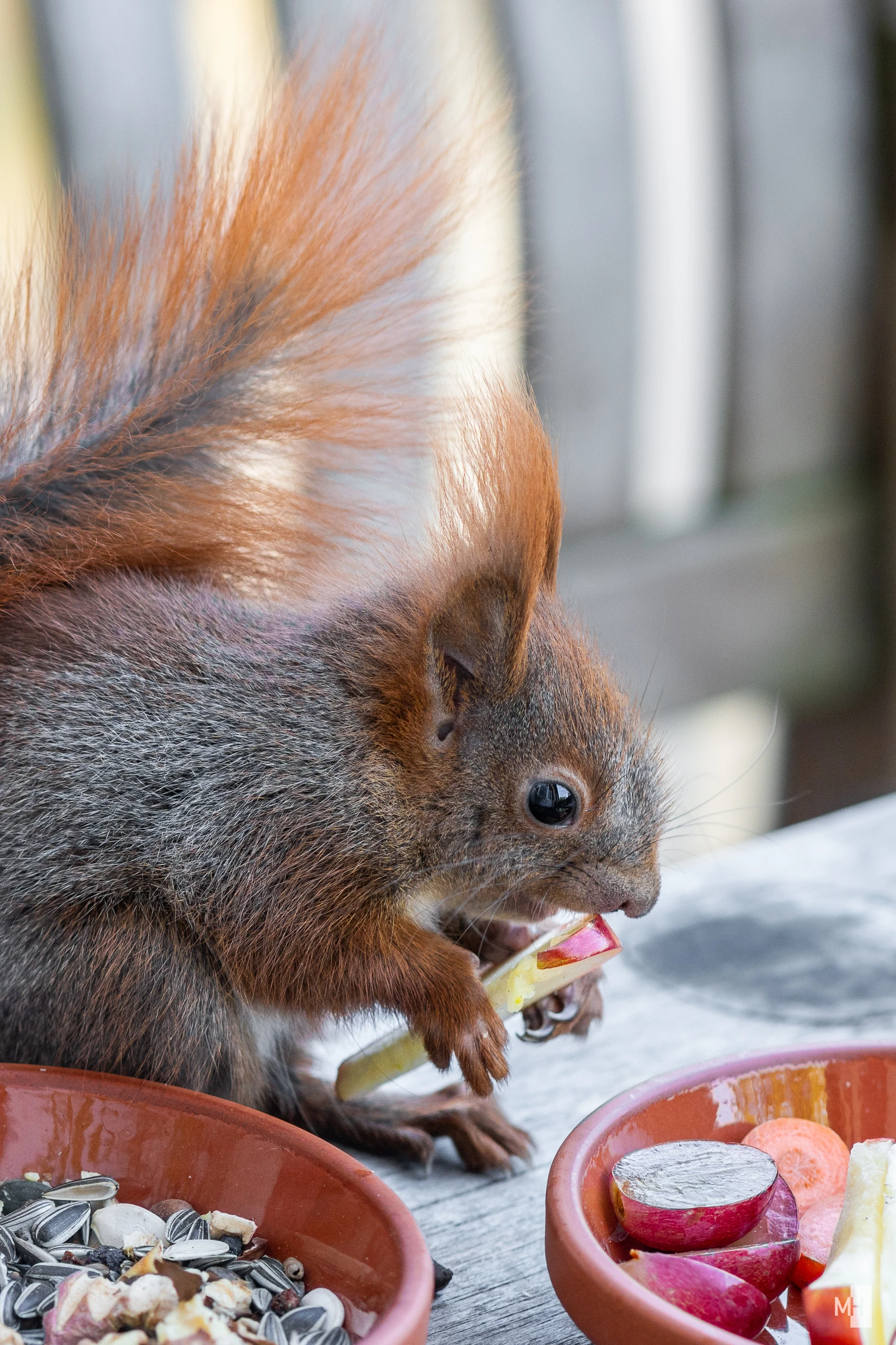 pixelgraphix-manuela-hoffmann-2025-april-26-30