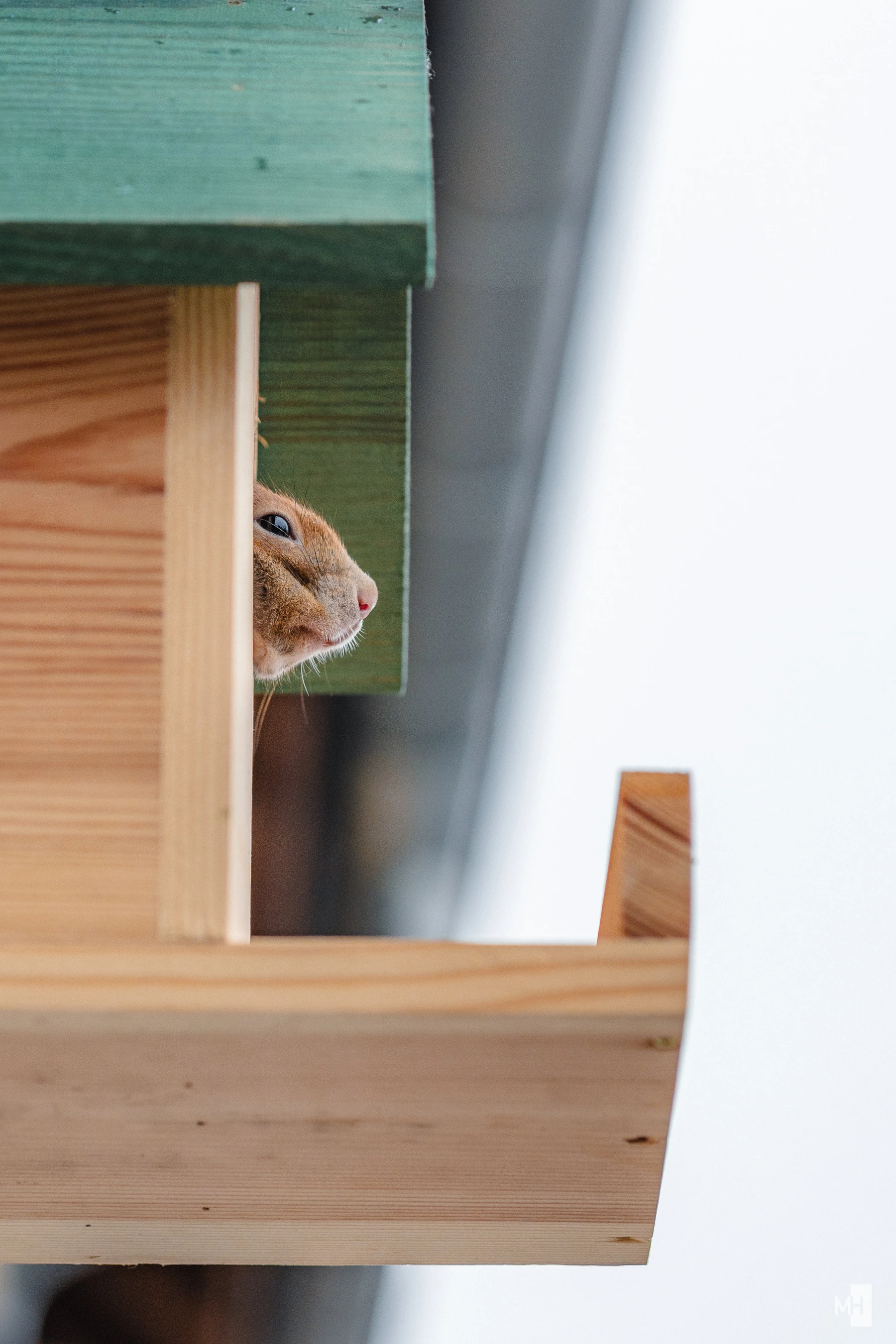 pixelgraphix-manuela-hoffmann-2025-januar-10-58