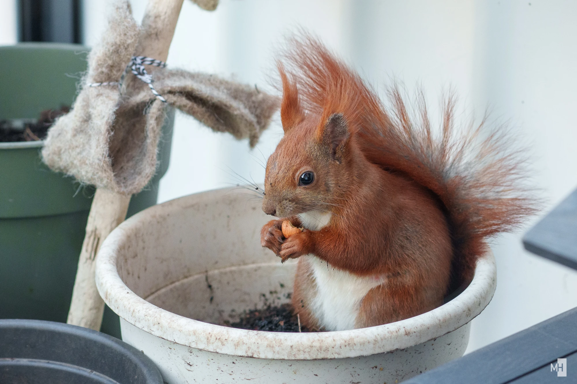 pixelgraphix-manuela-hoffmann-2025-marz-22-18