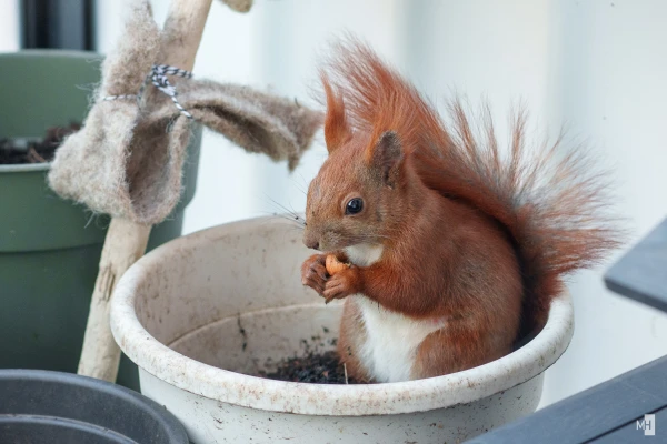 pixelgraphix-manuela-hoffmann-2025-marz-22-18