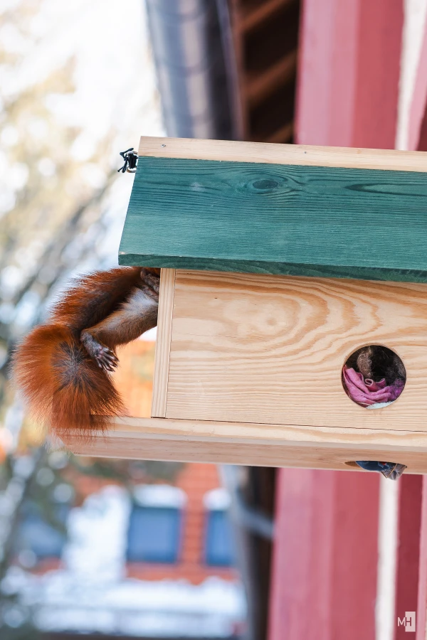 pixelgraphix-manuela-hoffmann-2025-februar-16-36