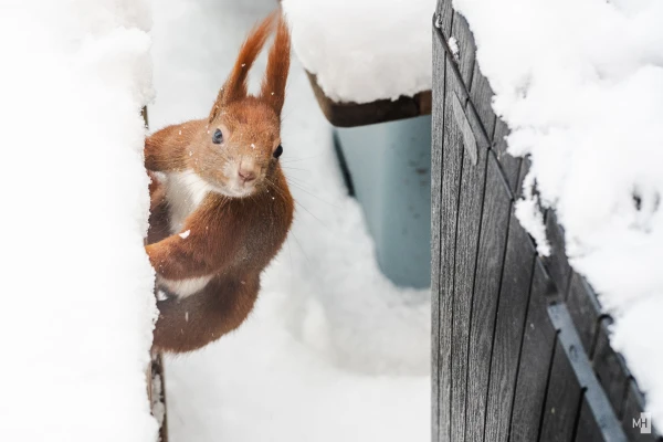 pixelgraphix-manuela-hoffmann-2025-februar-14-13