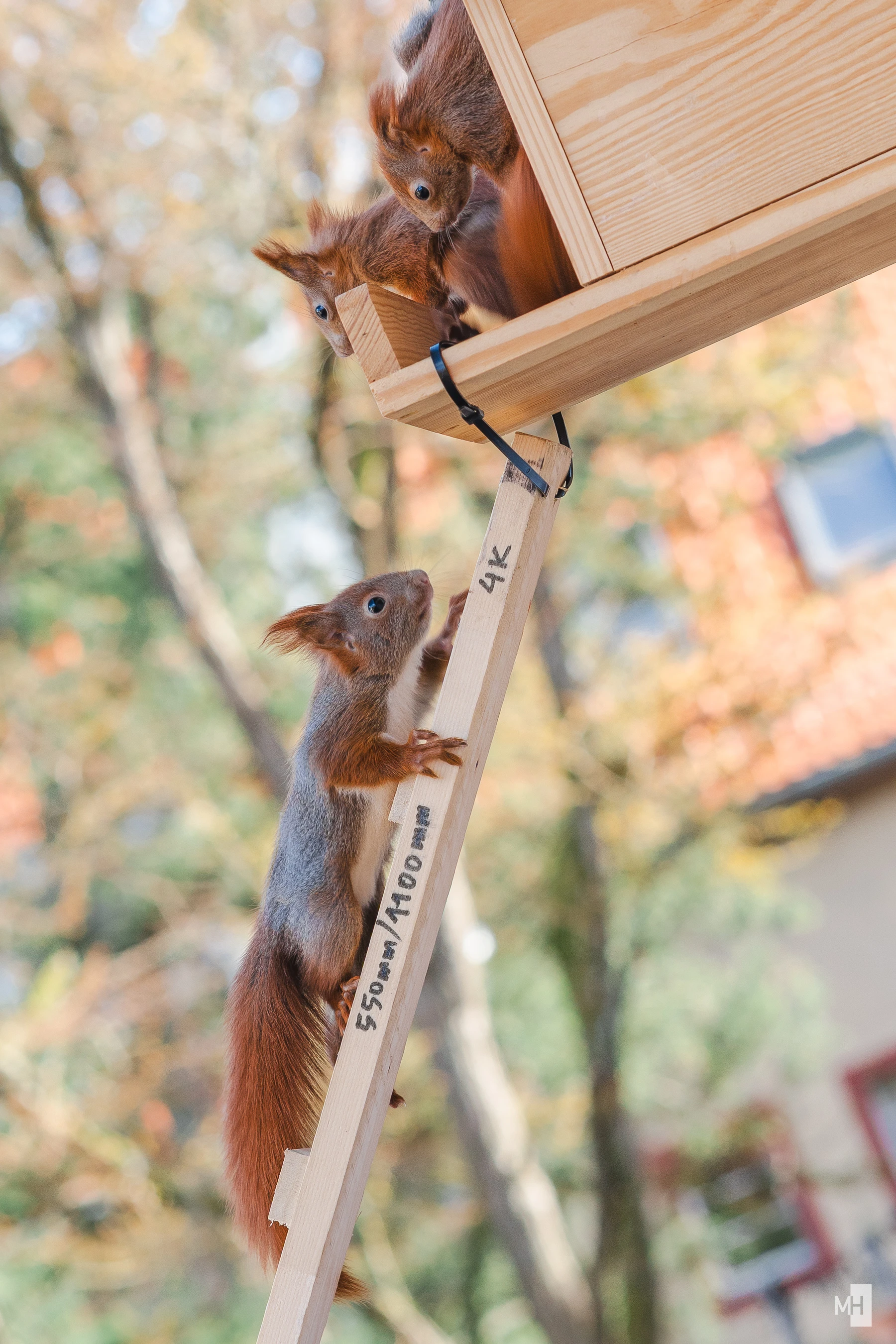 pixelgraphix-manuela-hoffmann-2025-april-01-57