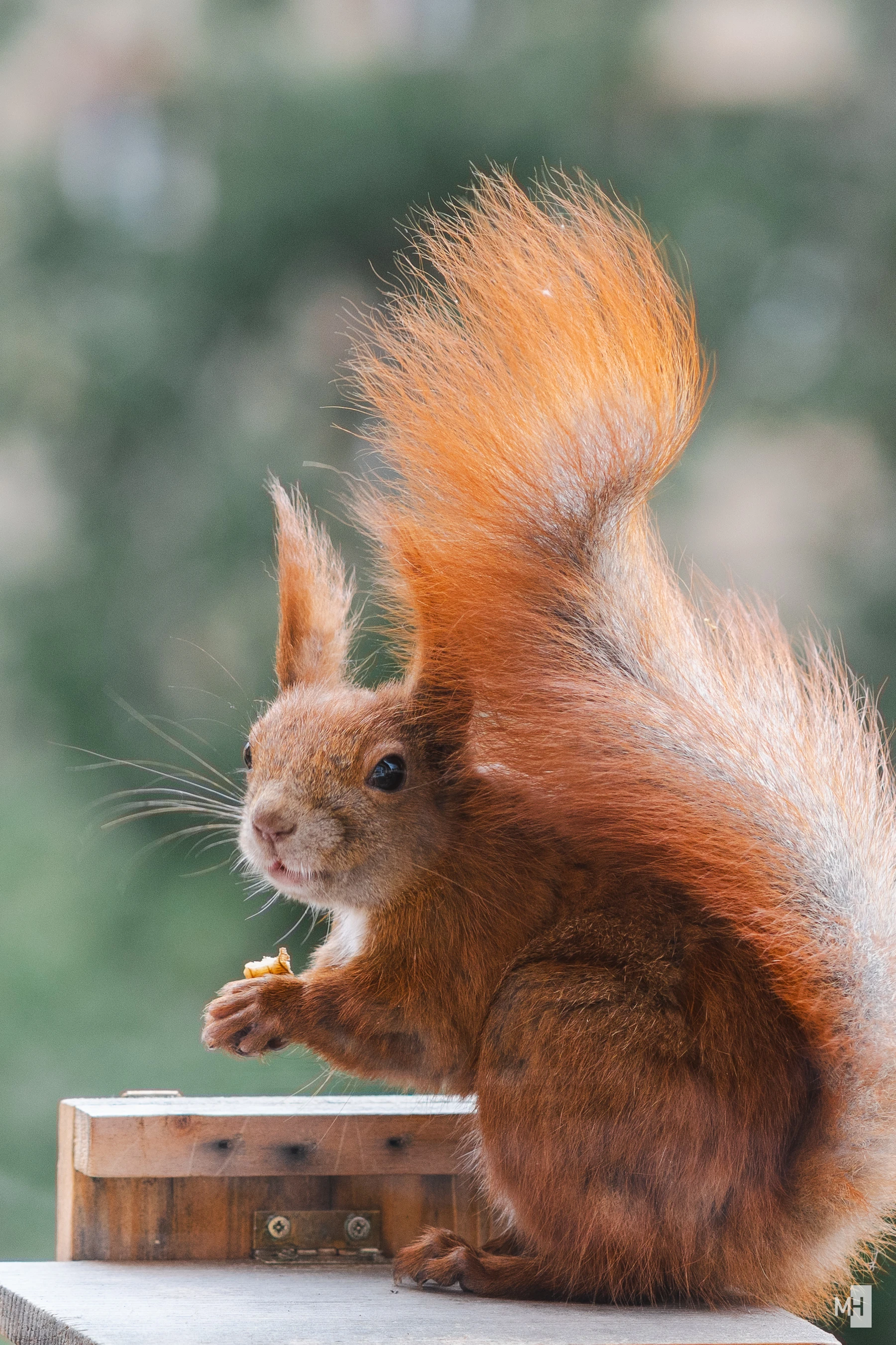 pixelgraphix-manuela-hoffmann-2025-mai-05-25