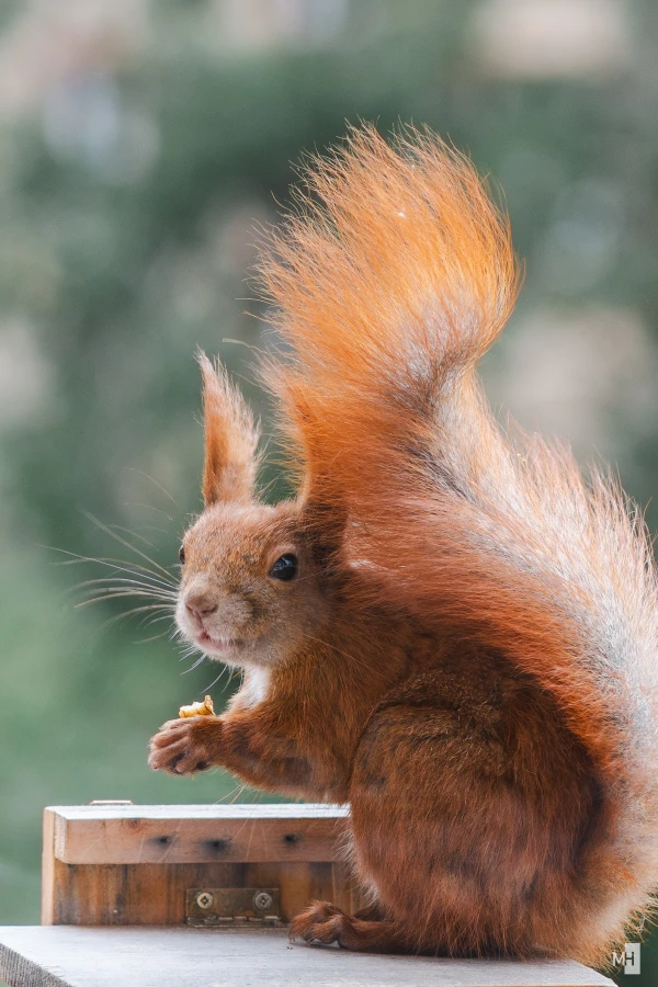 pixelgraphix-manuela-hoffmann-2025-mai-05-25