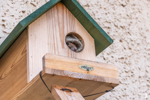 pixelgraphix-manuela-hoffmann-2025-oktober-03-05