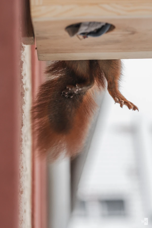 pixelgraphix-manuela-hoffmann-2025-februar-13-28