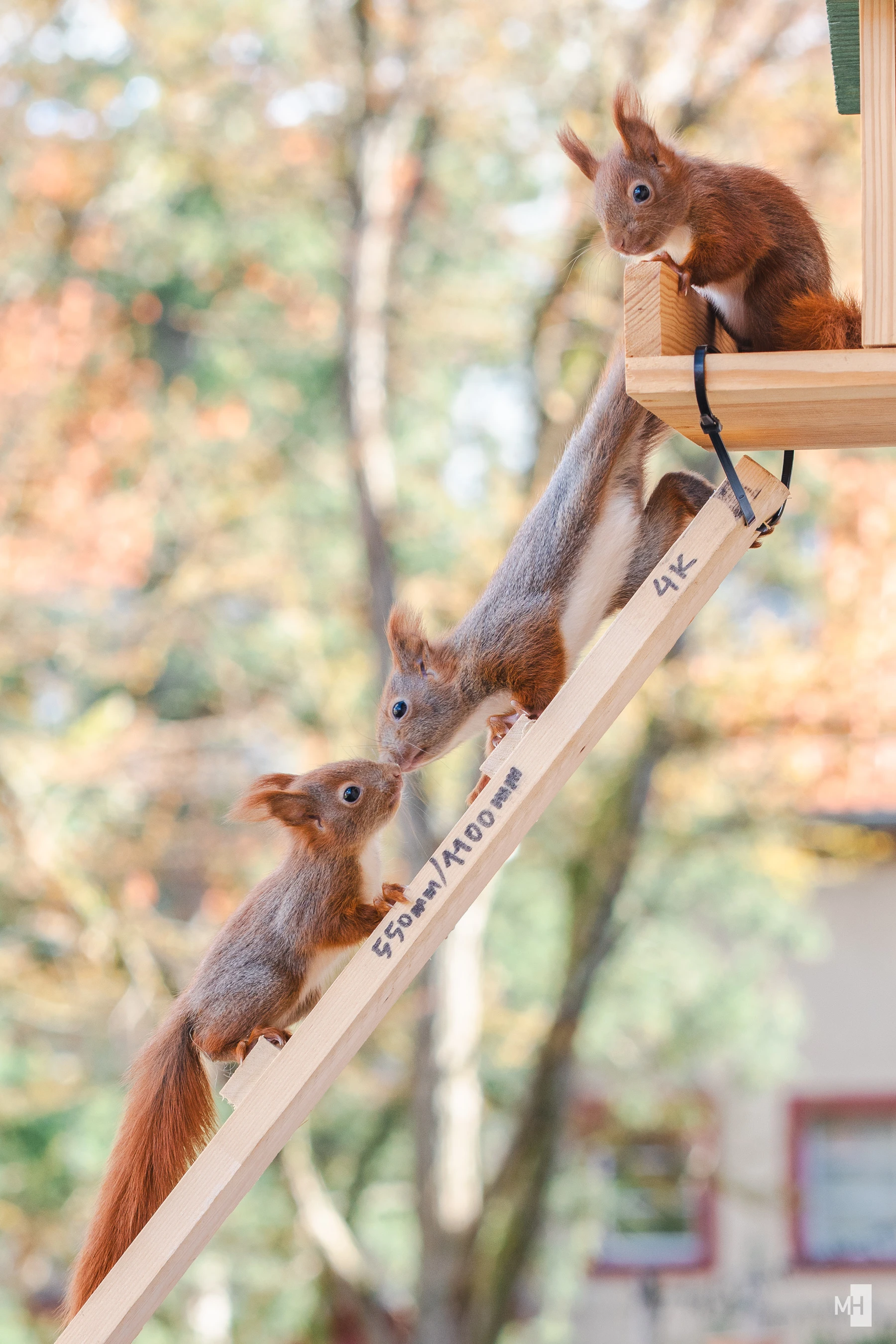 pixelgraphix-manuela-hoffmann-2025-april-01-47-2