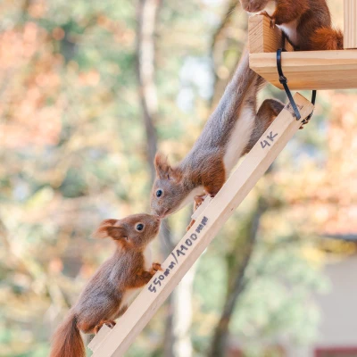 pixelgraphix-manuela-hoffmann-2025-april-01-47-2