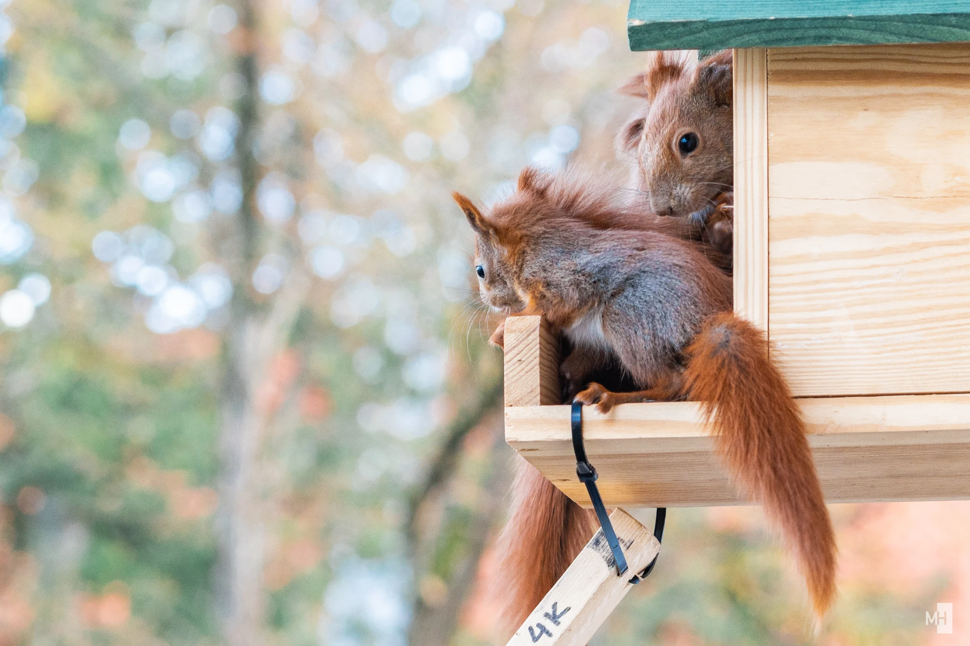 pixelgraphix-manuela-hoffmann-2025-april-01-22