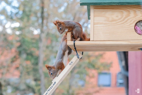 pixelgraphix-manuela-hoffmann-2025-april-01-58