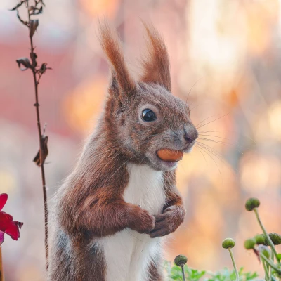 pixelgraphix-manuela-hoffmann-2025-november-05-59