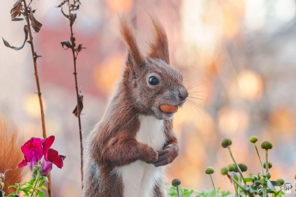 pixelgraphix-manuela-hoffmann-2025-november-05-59