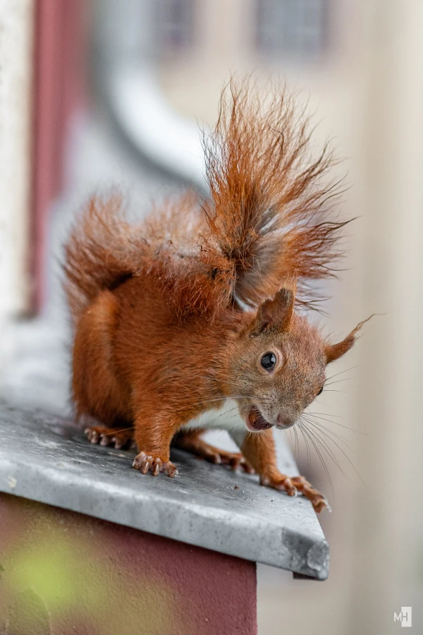 pixelgraphix-manuela-hoffmann-2025-juli-23-04