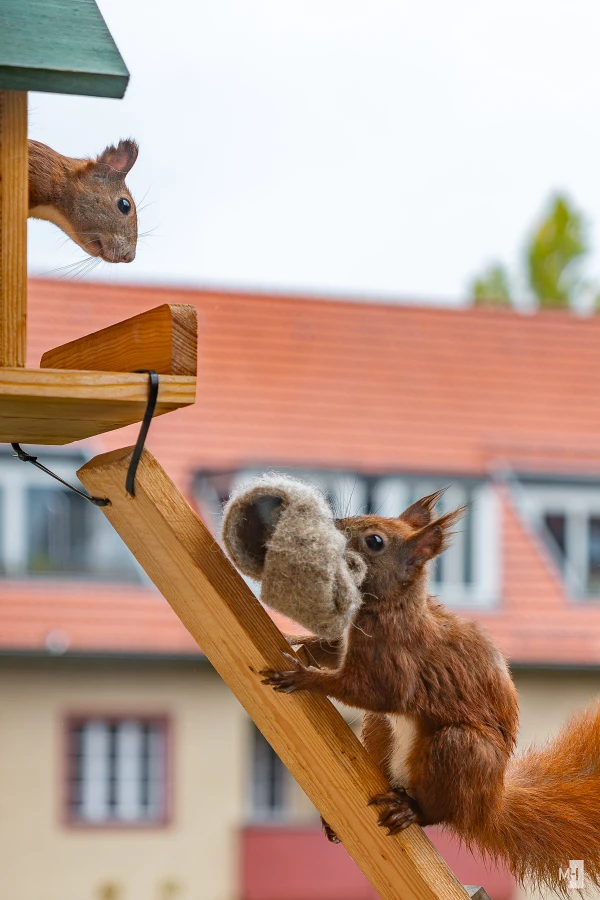 pixelgraphix-manuela-hoffmann-2025-oktober-04-46