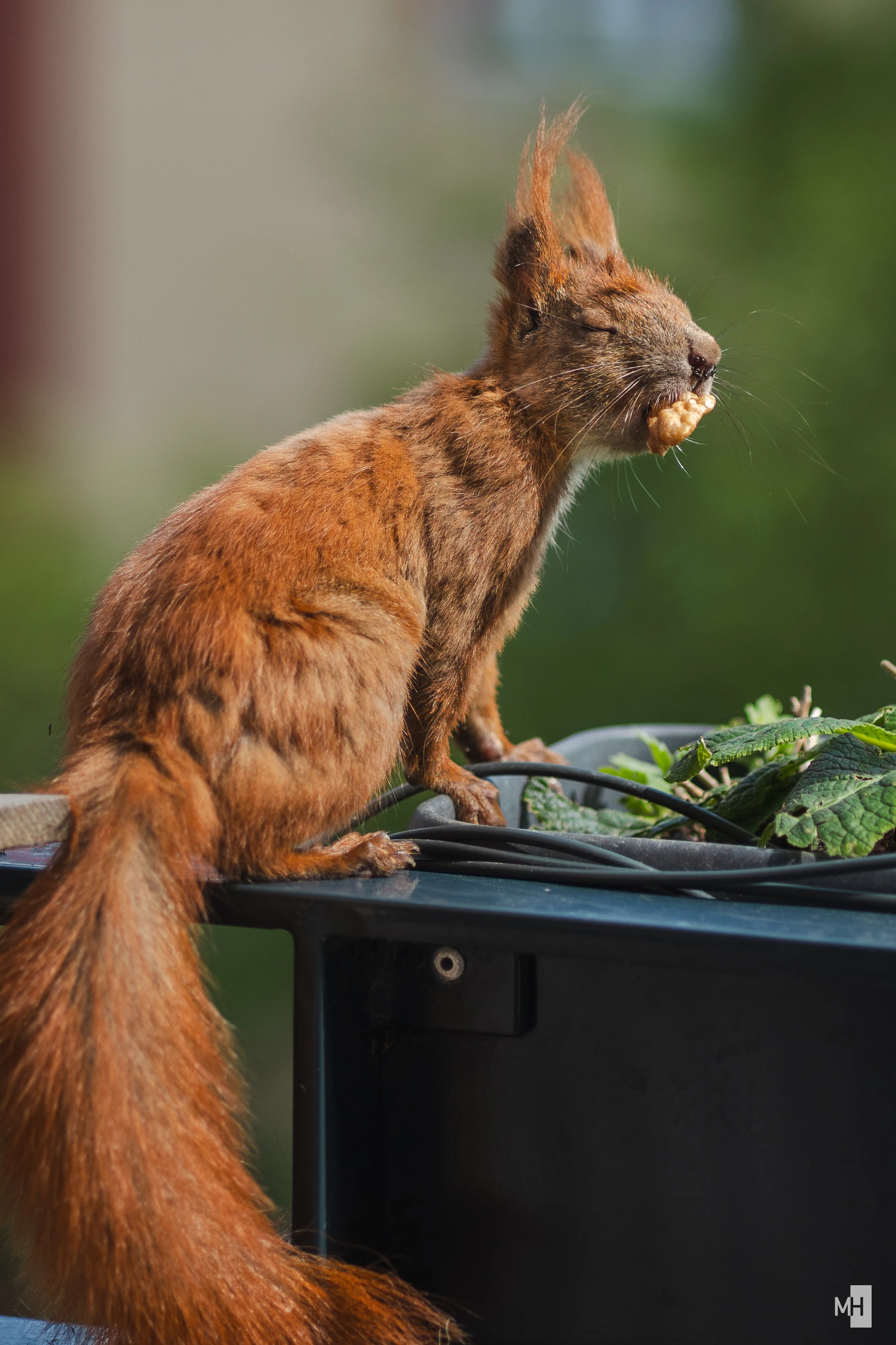 pixelgraphix-manuela-hoffmann-2025-mai-14-20