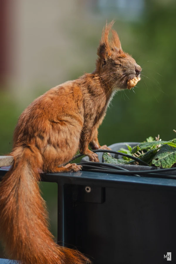 pixelgraphix-manuela-hoffmann-2025-mai-14-20