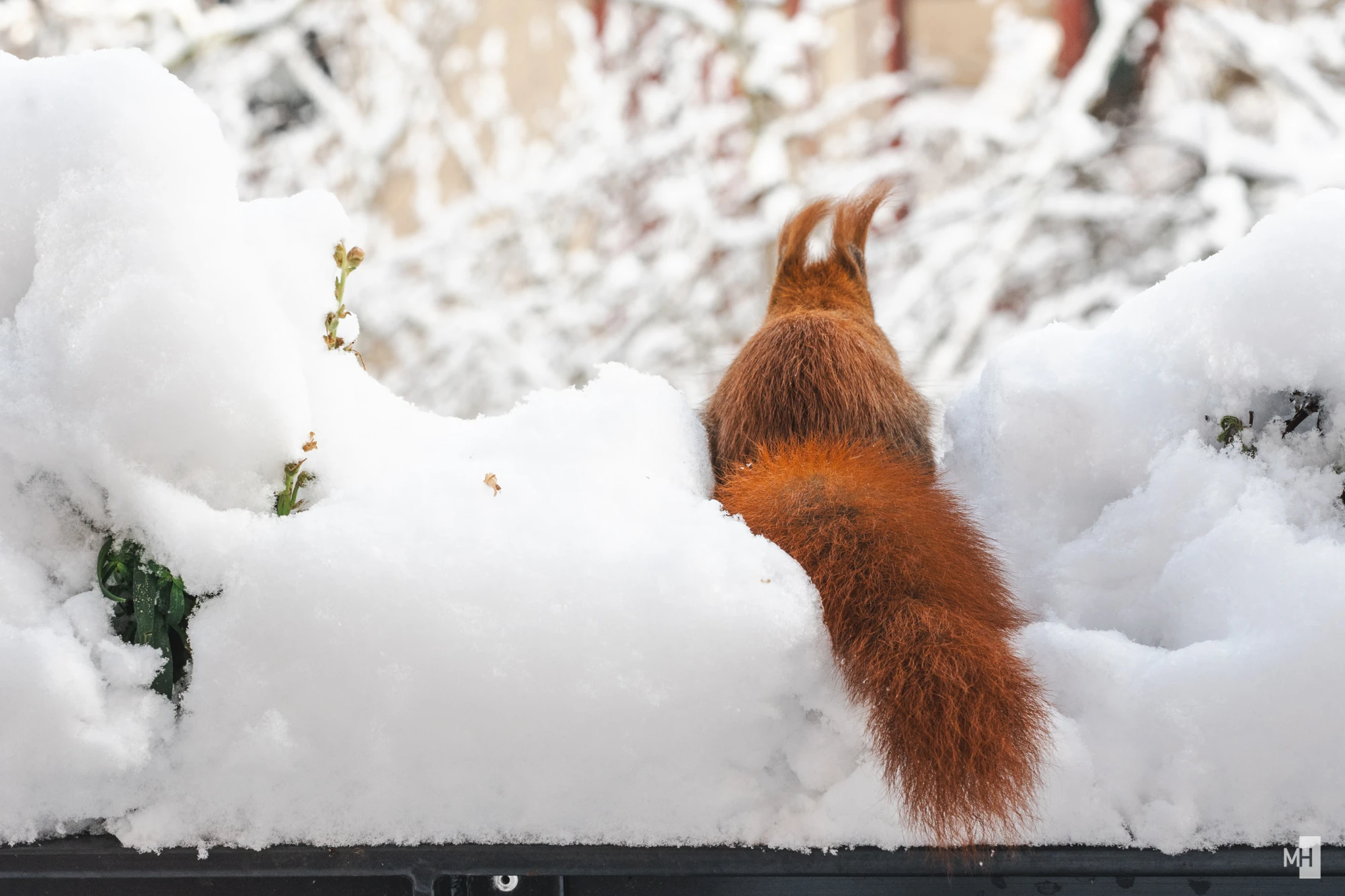 pixelgraphix-manuela-hoffmann-2025-februar-14-10