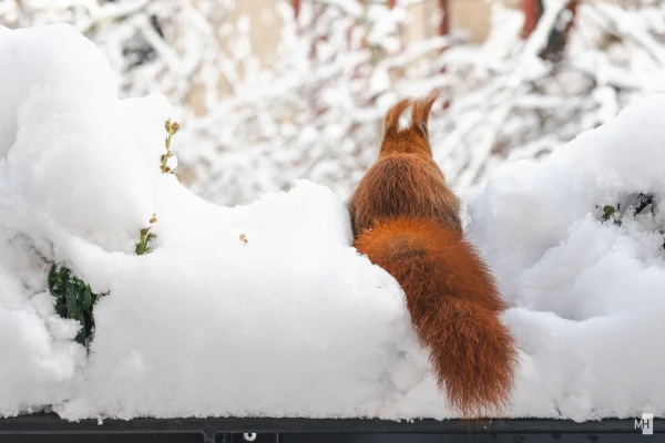 pixelgraphix-manuela-hoffmann-2025-februar-14-10