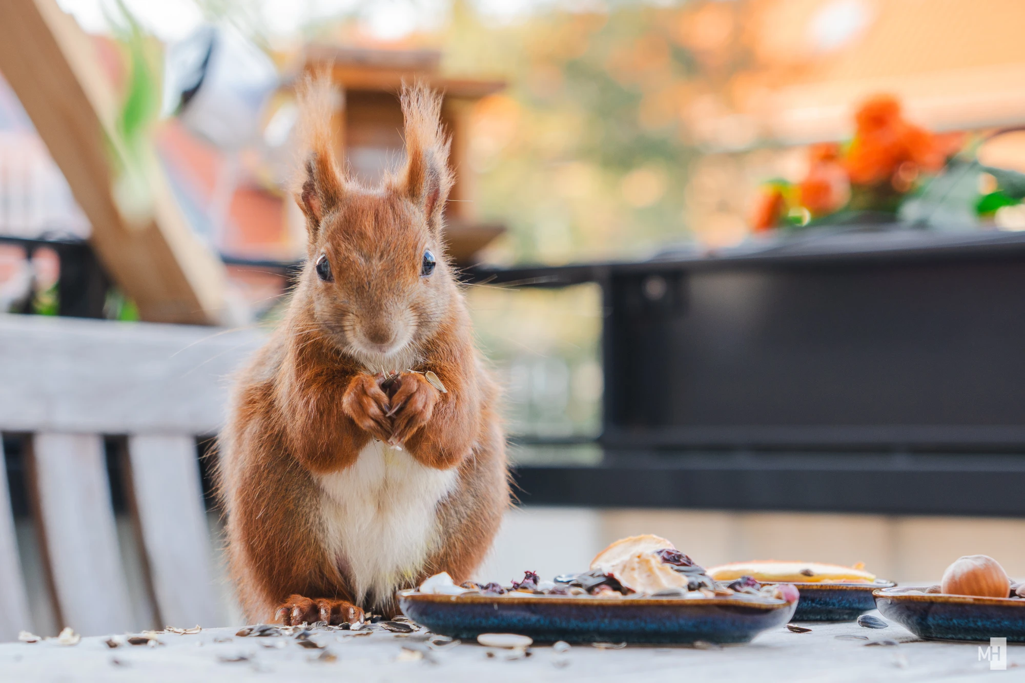 pixelgraphix-manuela-hoffmann-2025-april-14-08