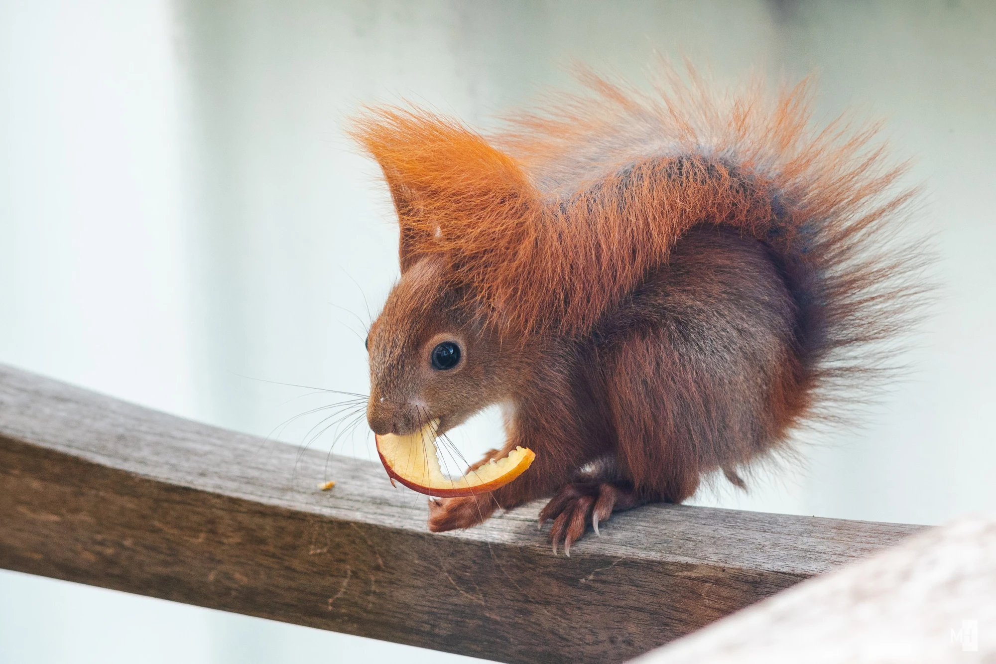 pixelgraphix-manuela-hoffmann-2025-april-29-58