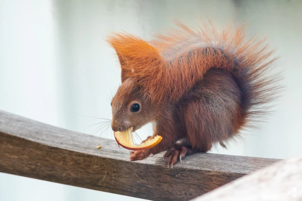 pixelgraphix-manuela-hoffmann-2025-april-29-58