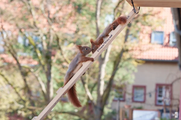 pixelgraphix-manuela-hoffmann-2025-april-01-54