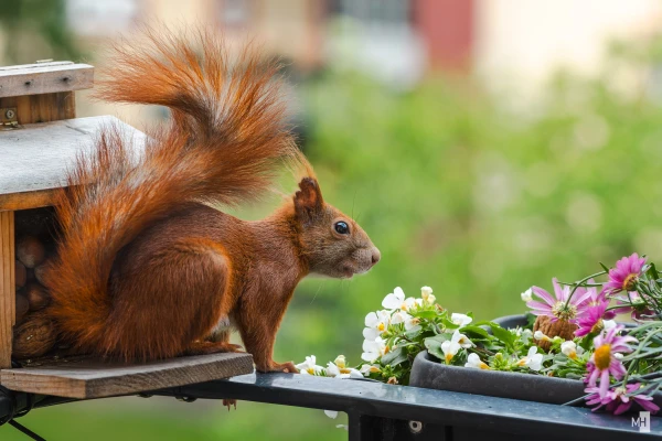 pixelgraphix-manuela-hoffmann-2025-juni-09-50