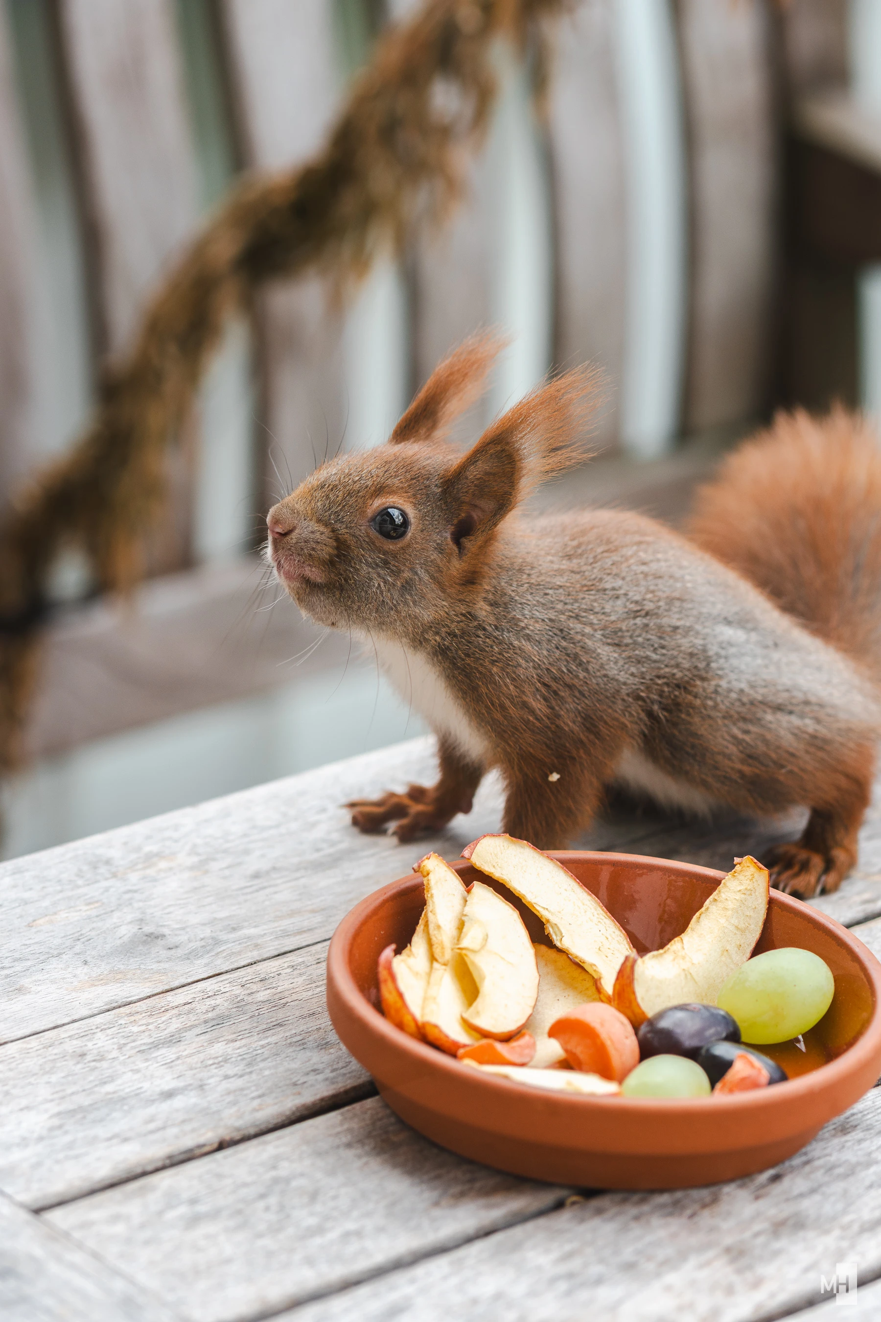 pixelgraphix-manuela-hoffmann-2025-mai-22-13