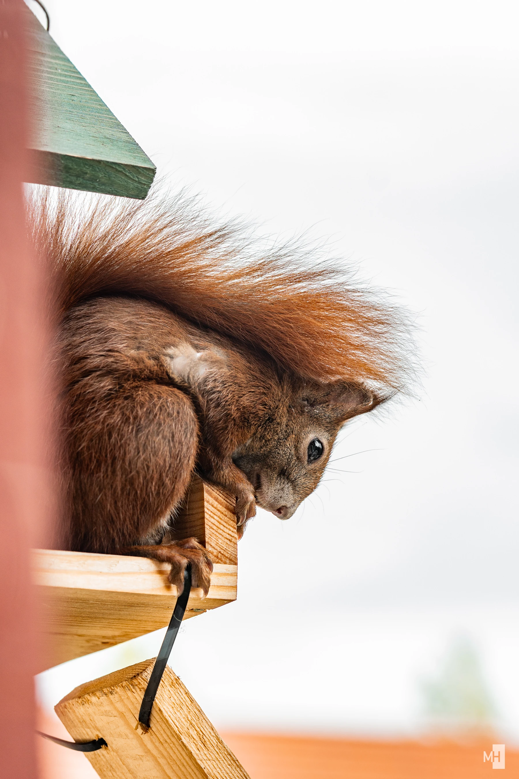 pixelgraphix-manuela-hoffmann-2025-september-26-47