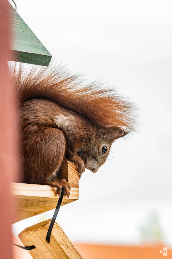 pixelgraphix-manuela-hoffmann-2025-september-26-47