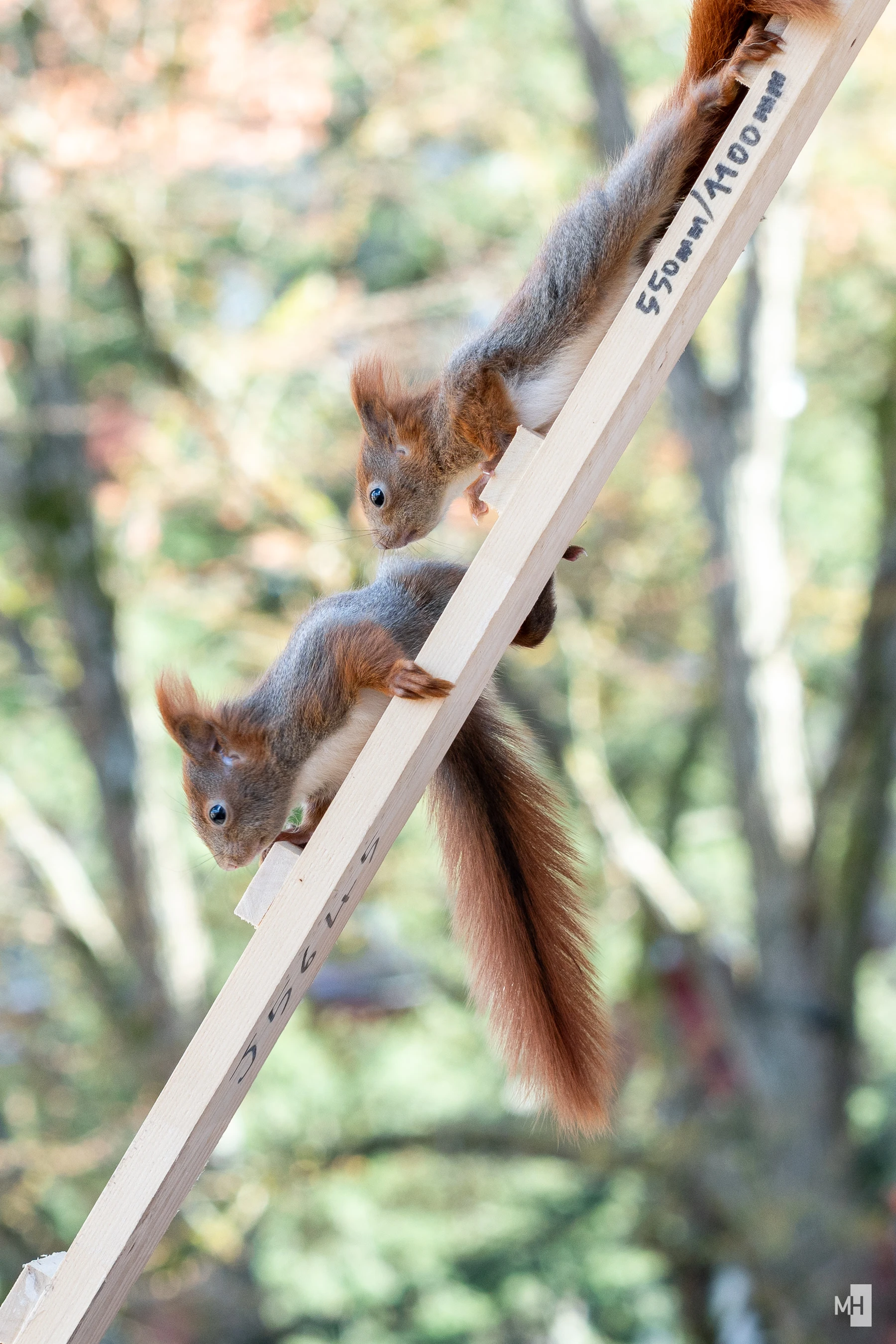 pixelgraphix-manuela-hoffmann-2025-april-01-59