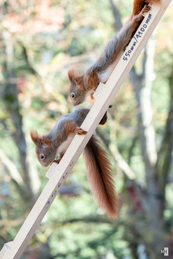 pixelgraphix-manuela-hoffmann-2025-april-01-59