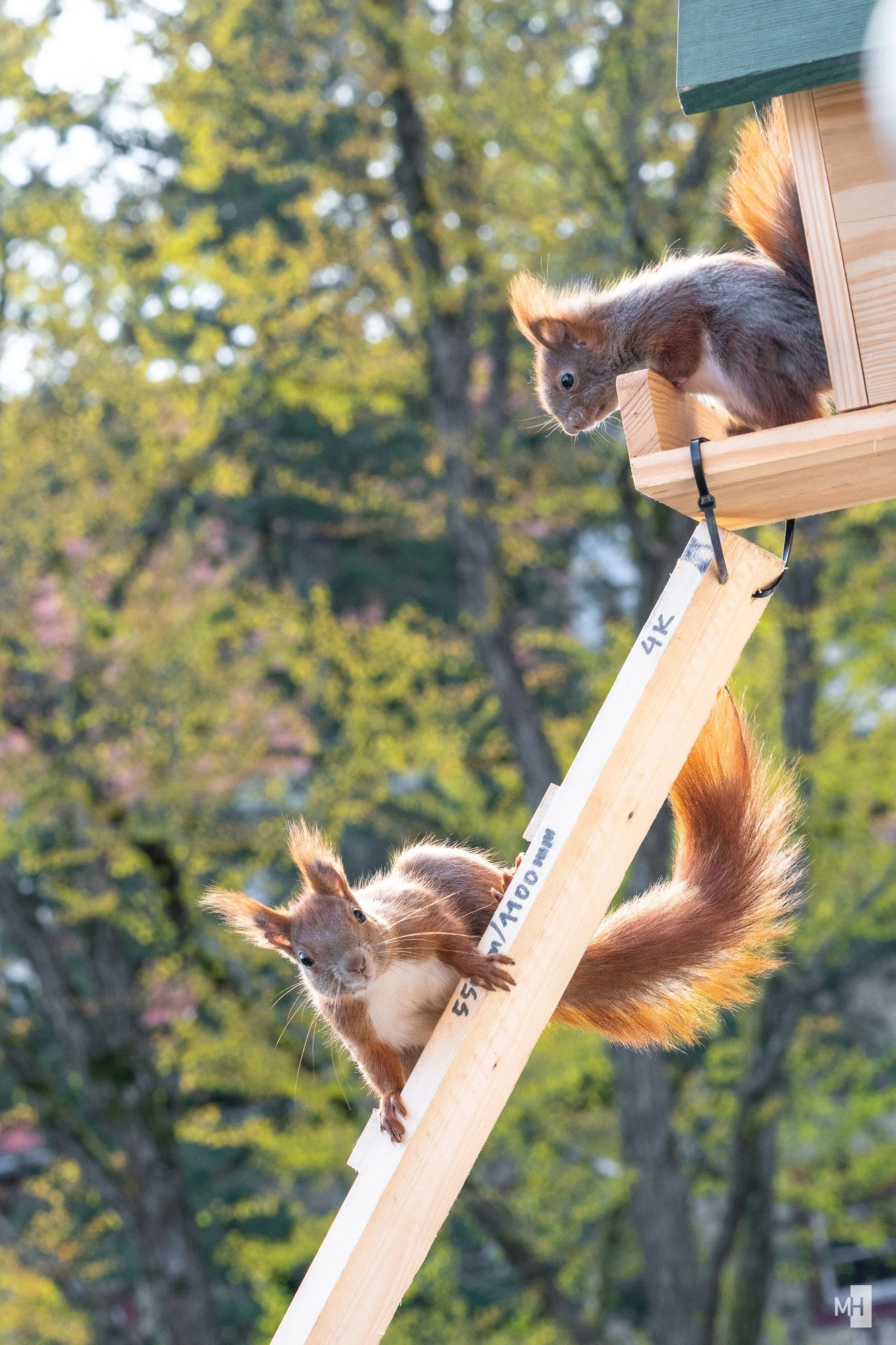 pixelgraphix-manuela-hoffmann-2025-april-07-45