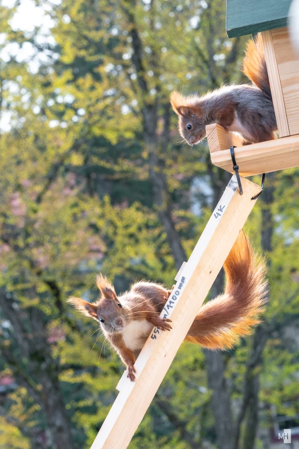 pixelgraphix-manuela-hoffmann-2025-april-07-45