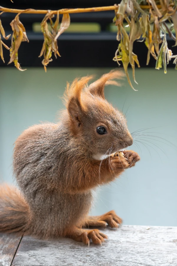 pixelgraphix-manuela-hoffmann-2025-mai-17-40