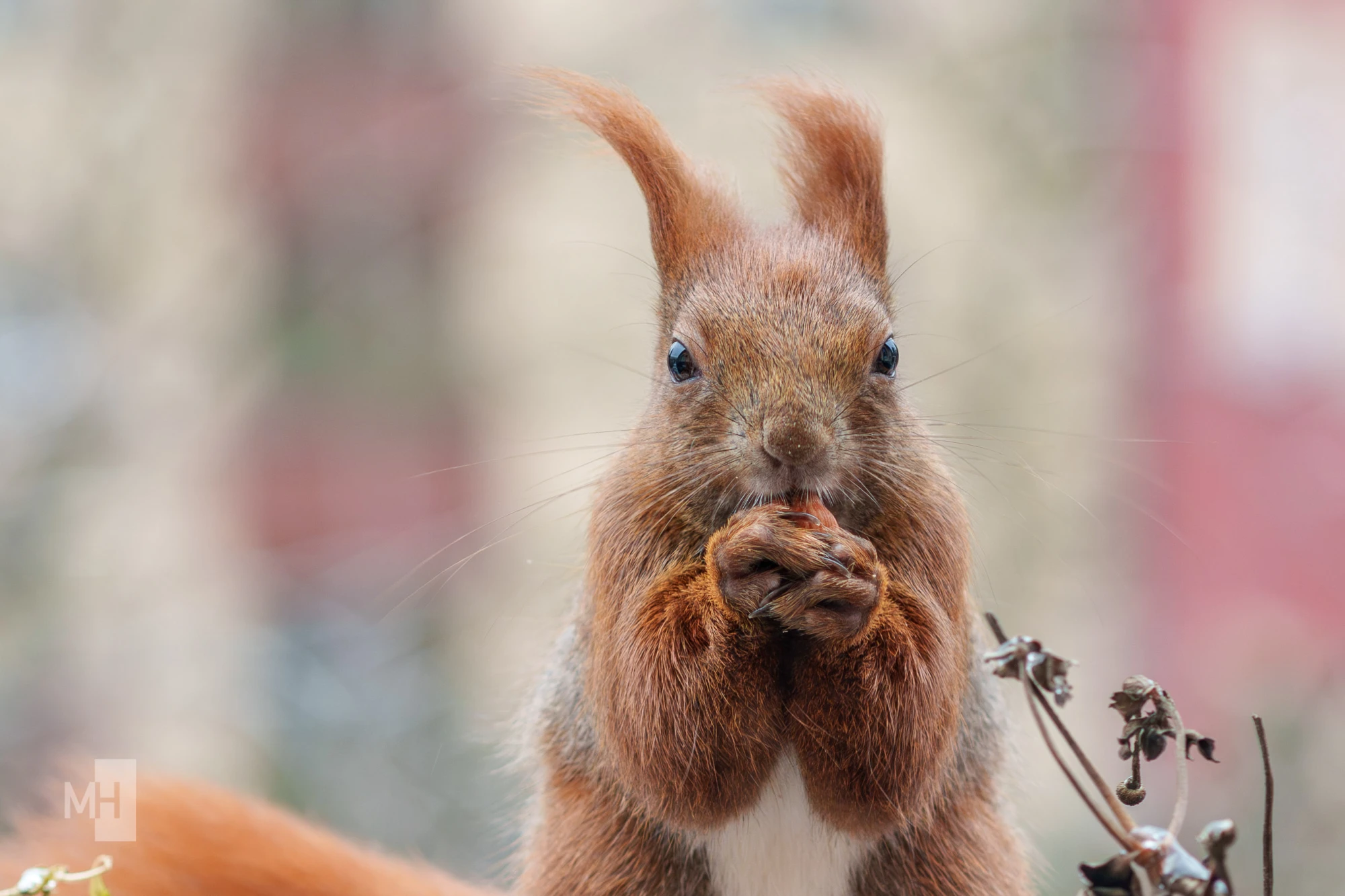 pixelgraphix-manuela-hoffmann-2026-januar-28-39-2