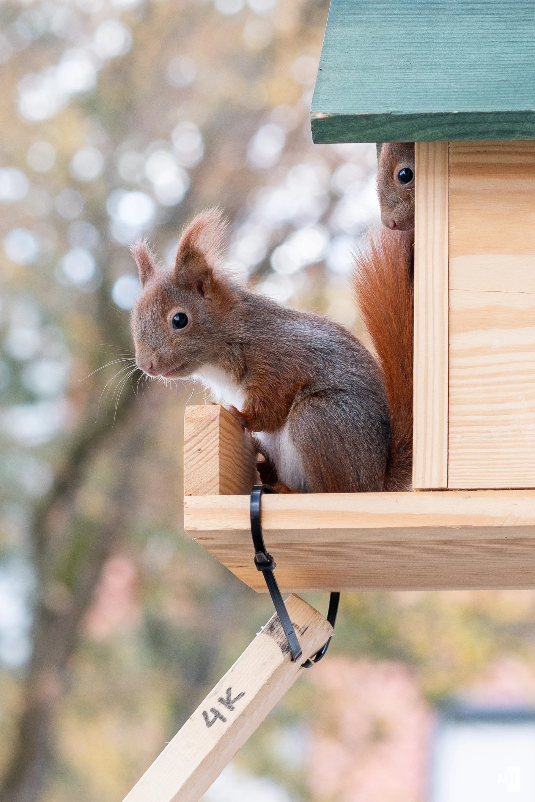 pixelgraphix-manuela-hoffmann-2025-april-01-28