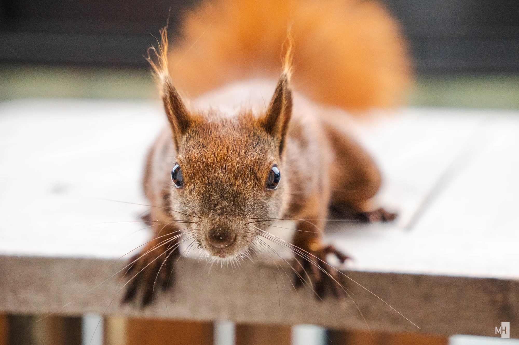 pixelgraphix-manuela-hoffmann-2024-juni-11-00