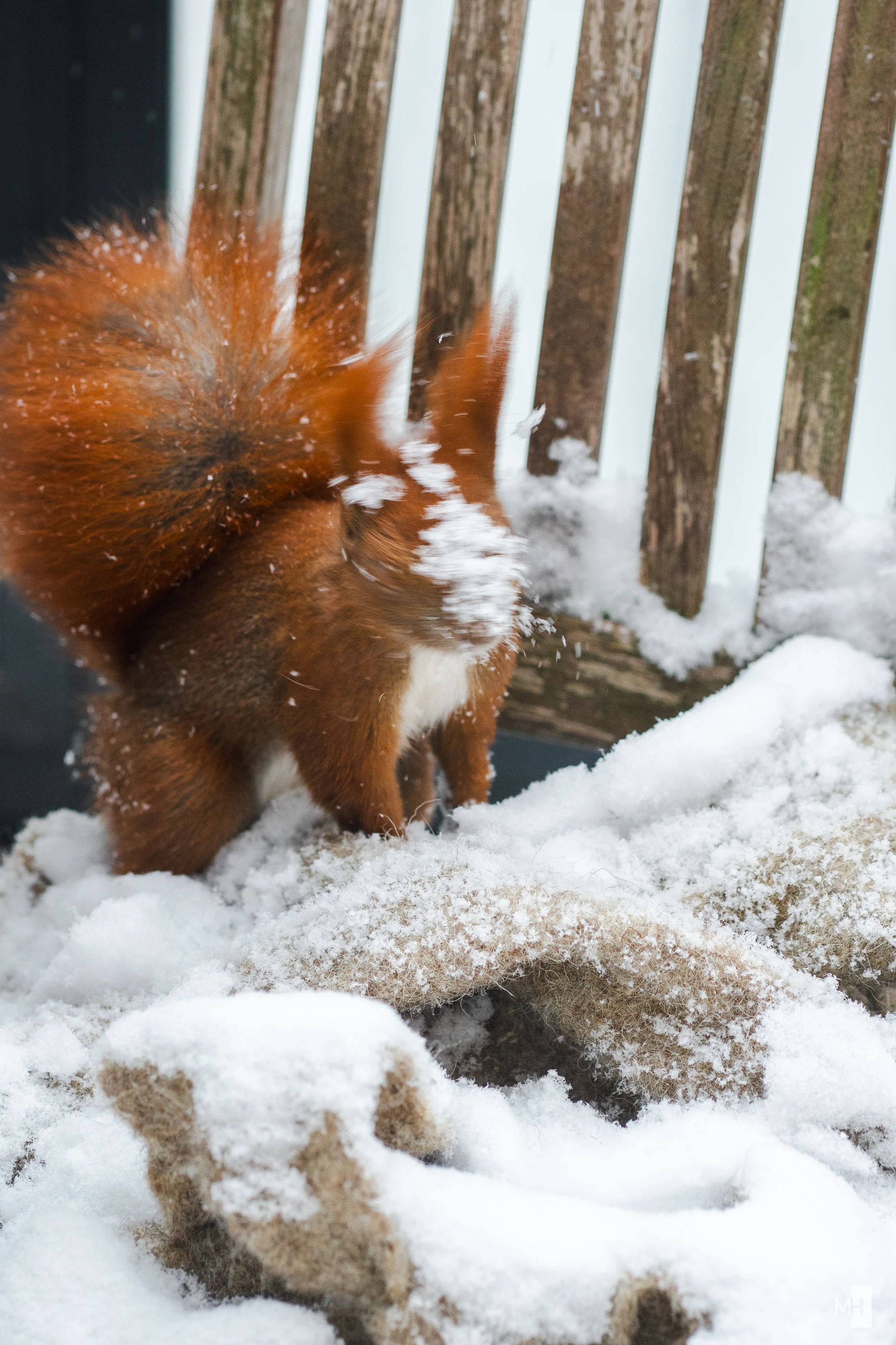 pixelgraphix-manuela-hoffmann-2025-februar-13-59