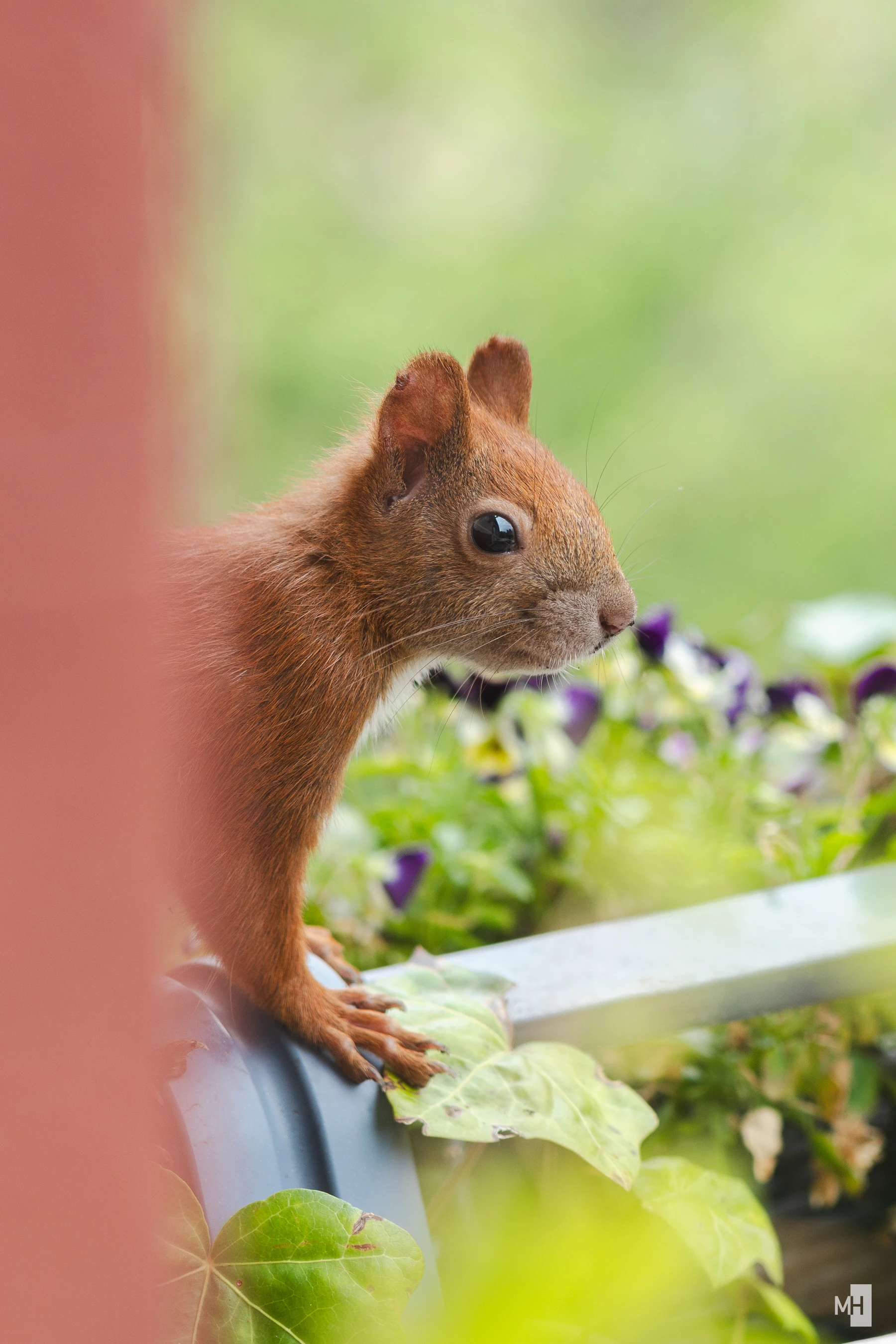 pixelgraphix-manuela-hoffmann-2025-juli-16-38