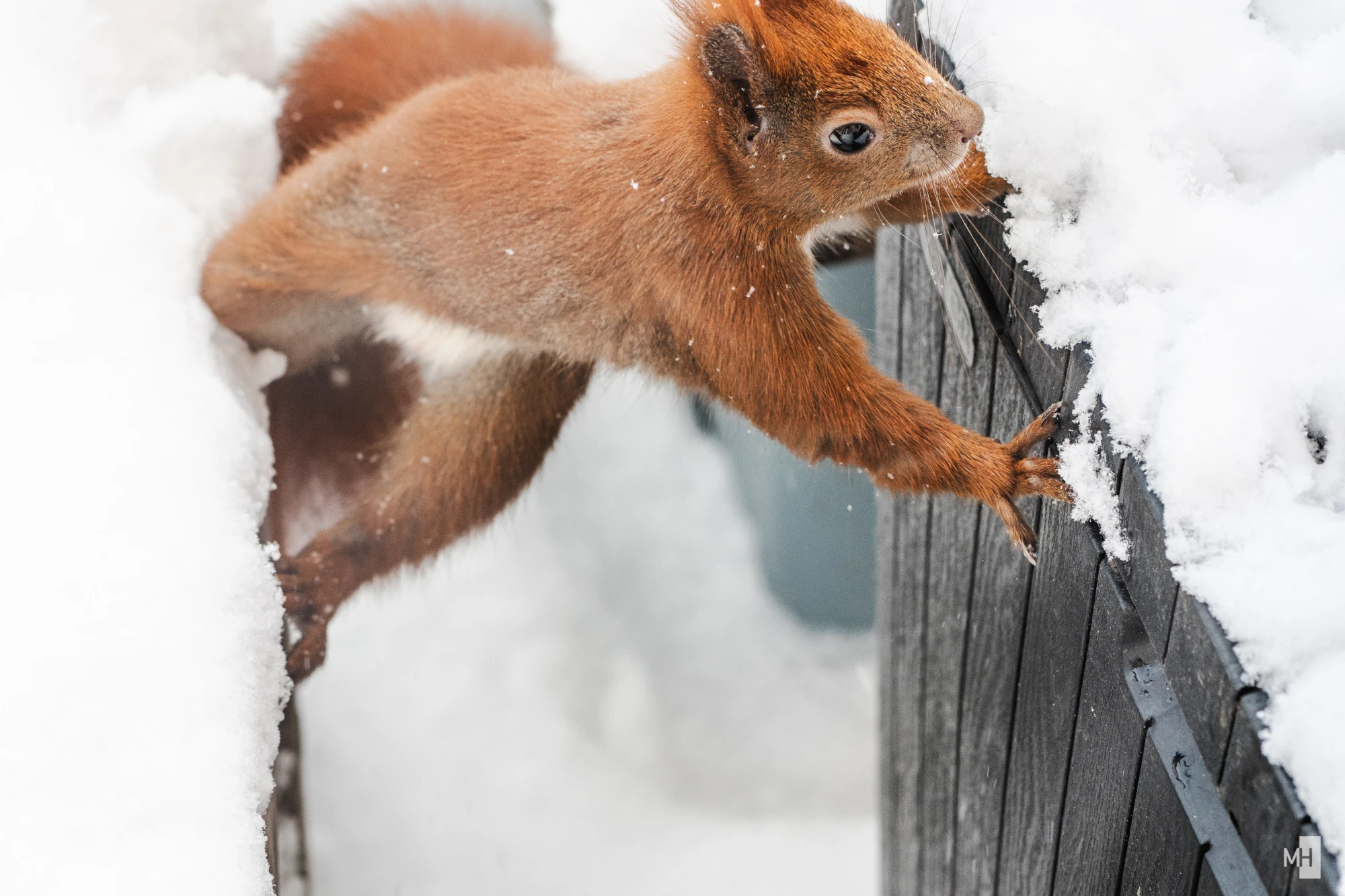 pixelgraphix-manuela-hoffmann-2025-februar-14-14