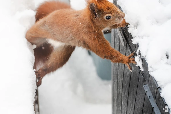 pixelgraphix-manuela-hoffmann-2025-februar-14-14